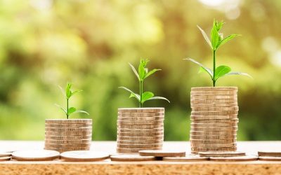 Money Habits of Successful Women