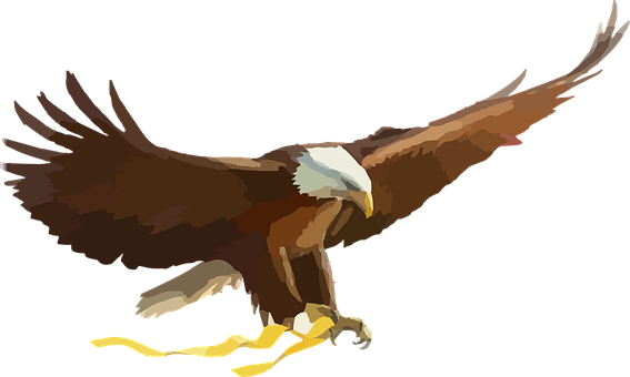 Eagle = Spirit